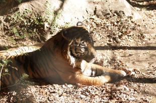 少し前の事ですが・・・⑦