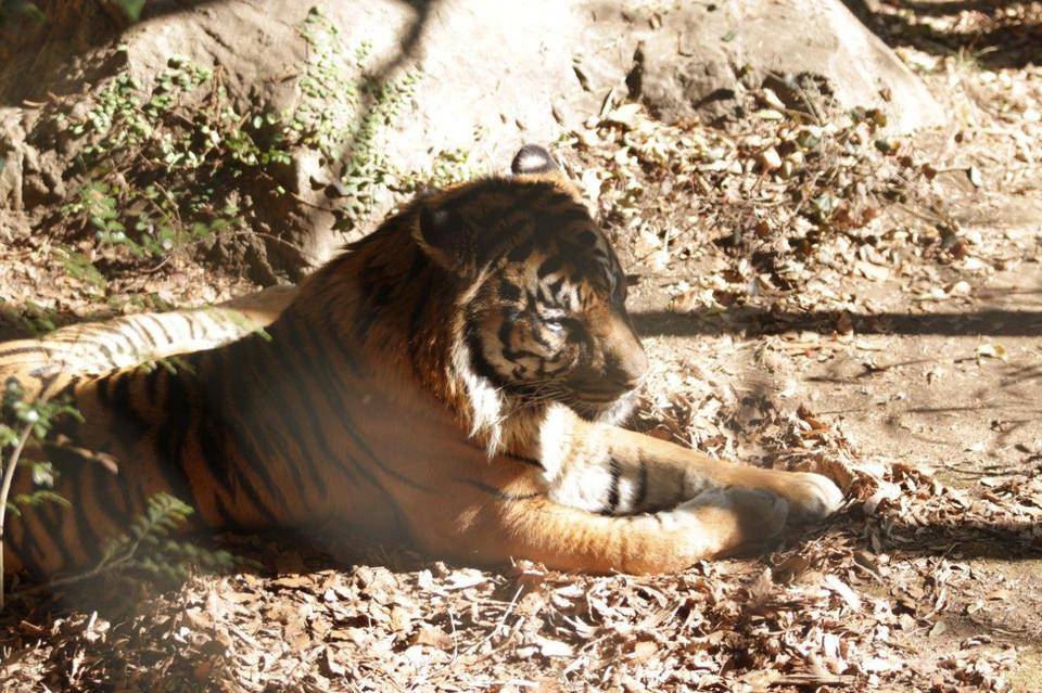 少し前の事ですが・・・⑦の写真