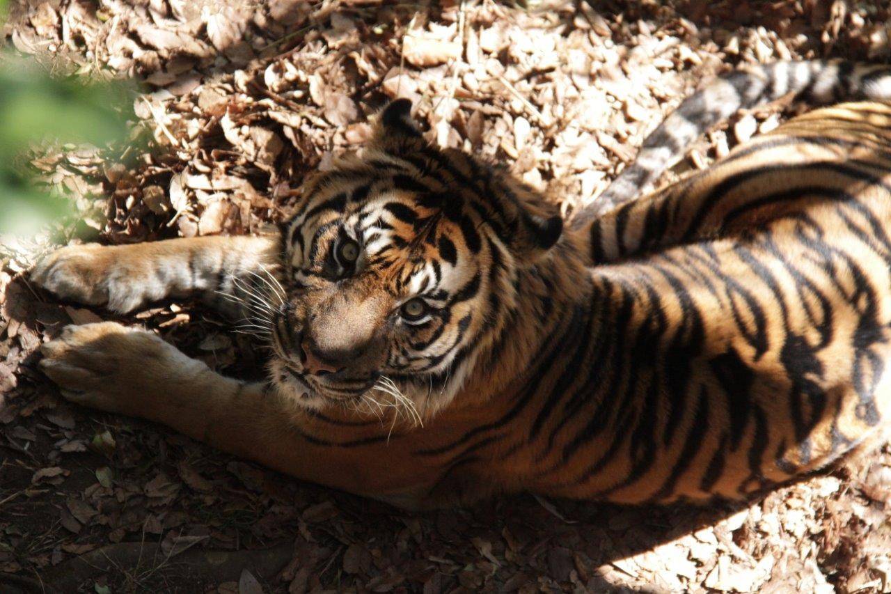 少し前の事ですが・・・⑧の写真