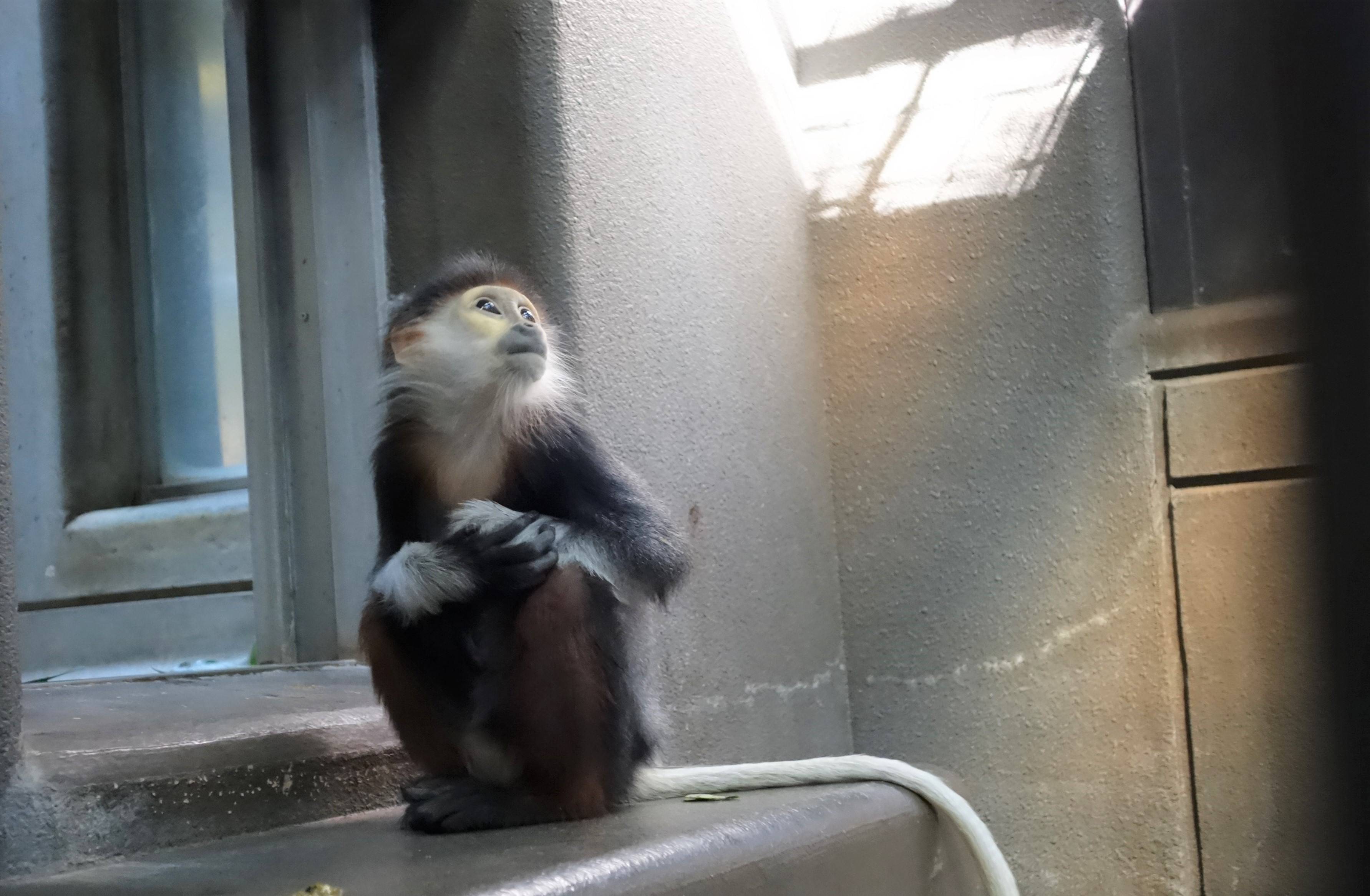 ドゥクの冬・・ごもり?⑥の写真