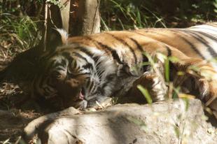 少し前の事ですが・・・⑨