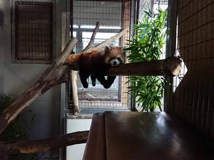 魅惑のララ・ルーム♪