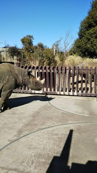 アキリ、がんばっています！