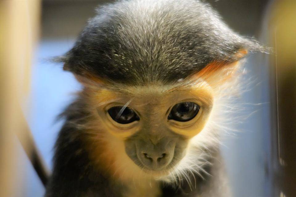 それは天然物なのか・・・の写真