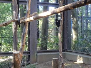 こちらもリニューアル