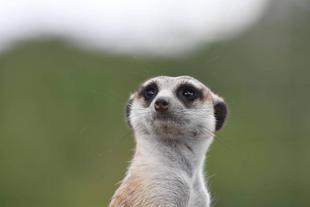 展示とお引越しのお知らせ