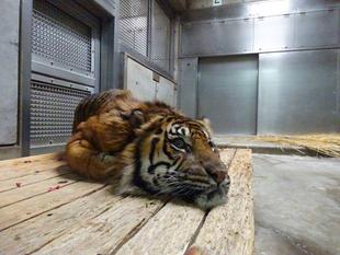 朝一ガンター･･･①