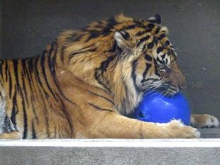 少し前の事ですが・・・⑬