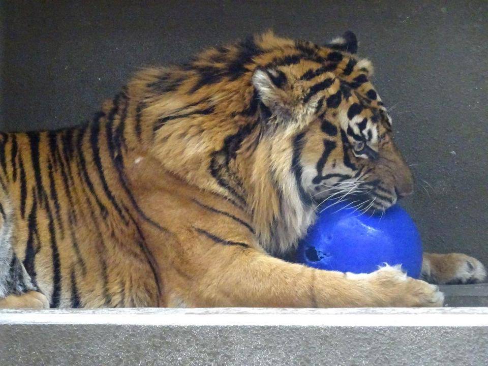 少し前の事ですが・・・⑬の写真