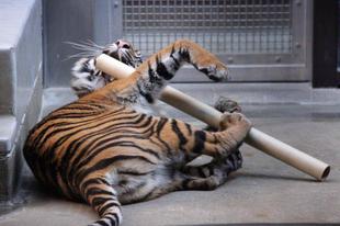 少し前の事ですが・・・⑩