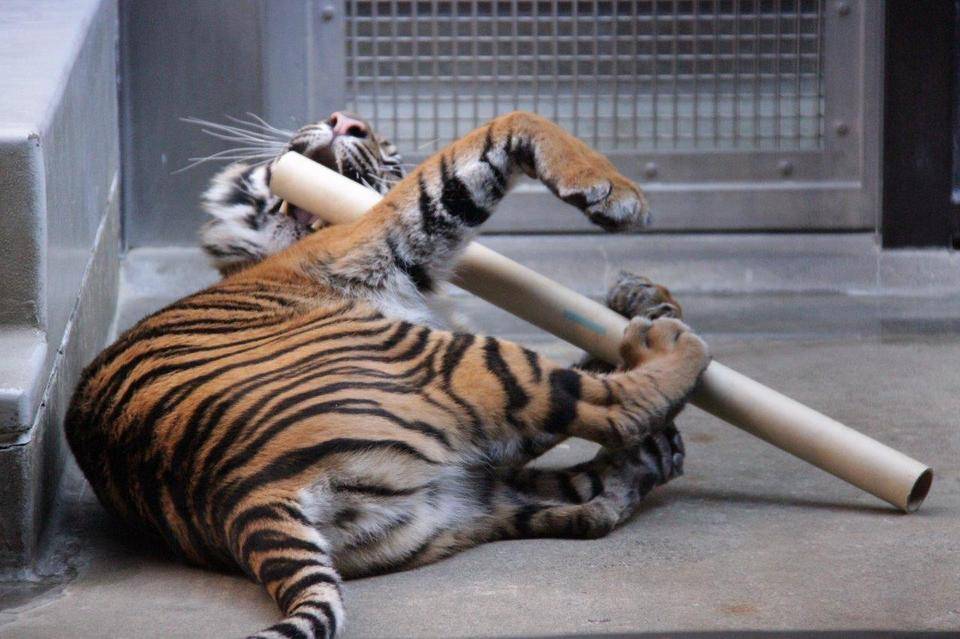 少し前の事ですが・・・⑩の写真