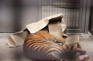 少し前の事ですが・・・⑫