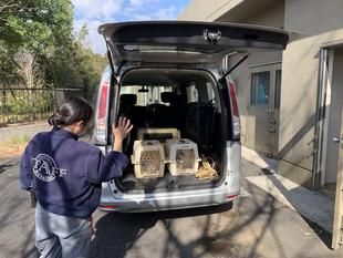 いってらっしゃい、ダイとリン！