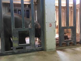 室内では...その②