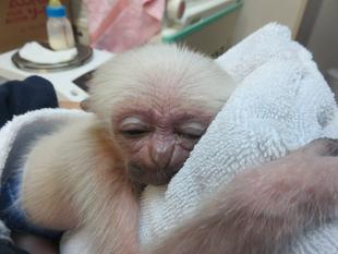 寝るプロイは育つ