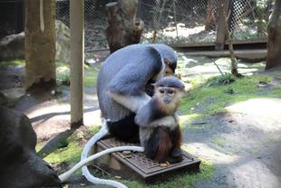 久しぶりの展示場