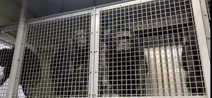 フクの出園とゴウの入園（後編）