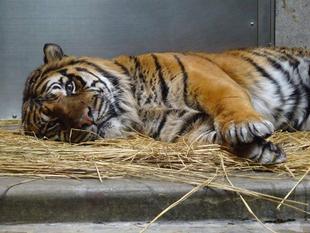 朝一ガンター･･･②