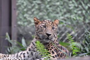 トライのトレーニング