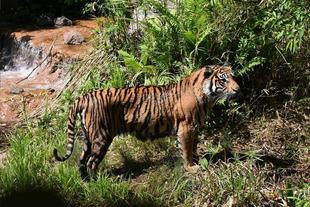 良いもん見っけたぁ~(続編)・・・①