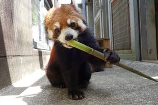 旬、あげてみました