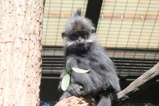 ロンロン、1歳☆