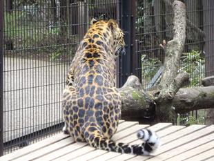 まったりトライ