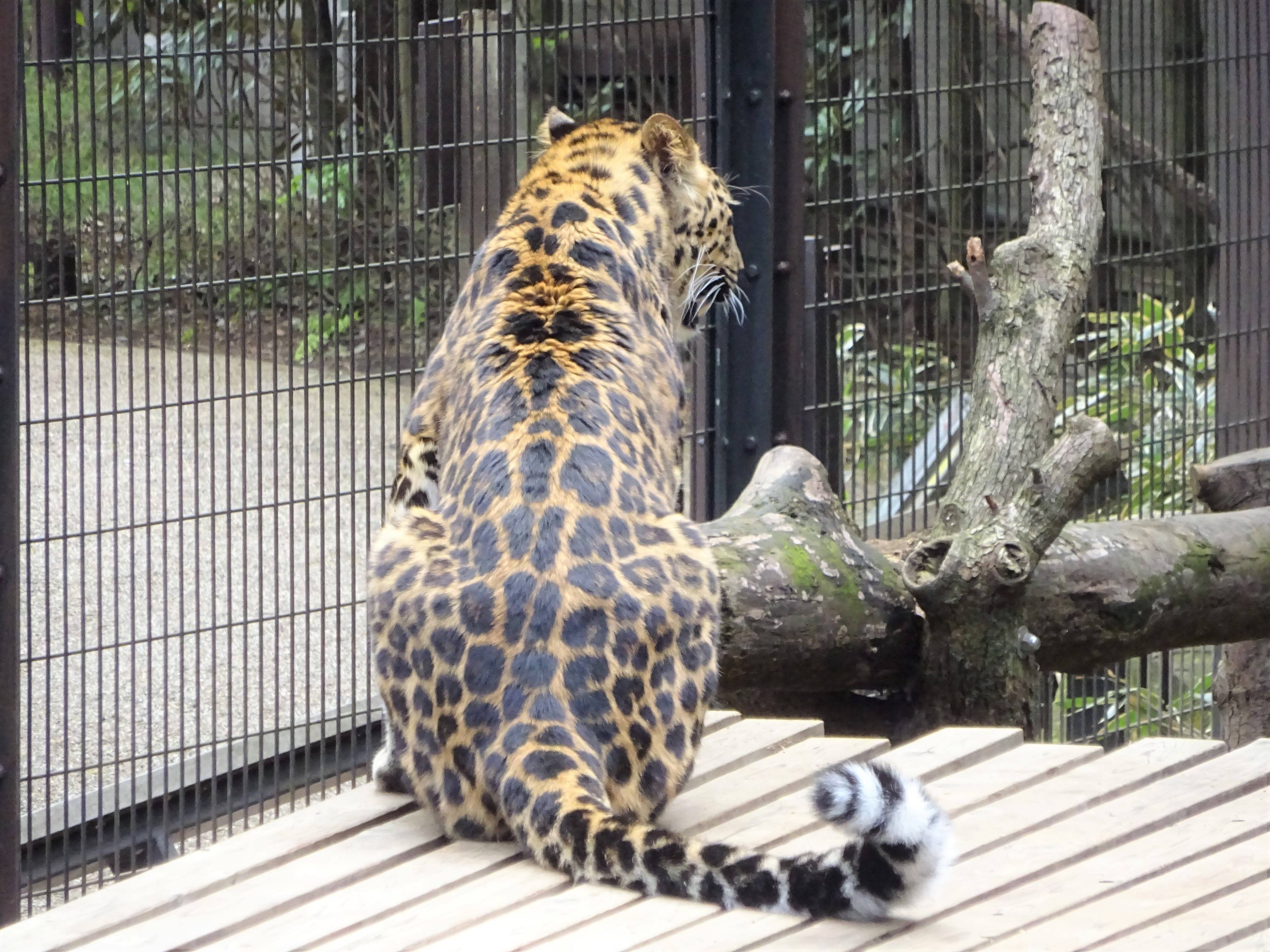 まったりトライの写真