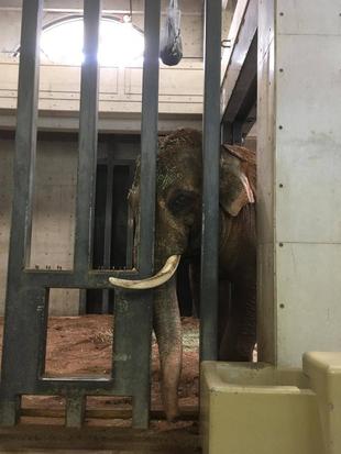 室内では...その③