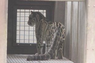 step by step･･･③