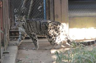 step by step･･･②