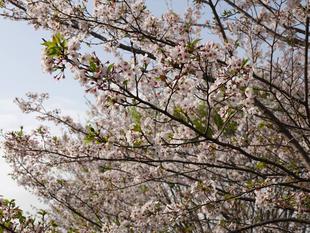 ズーラシアの春事情⑬