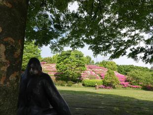 ズーラシアの初夏事情