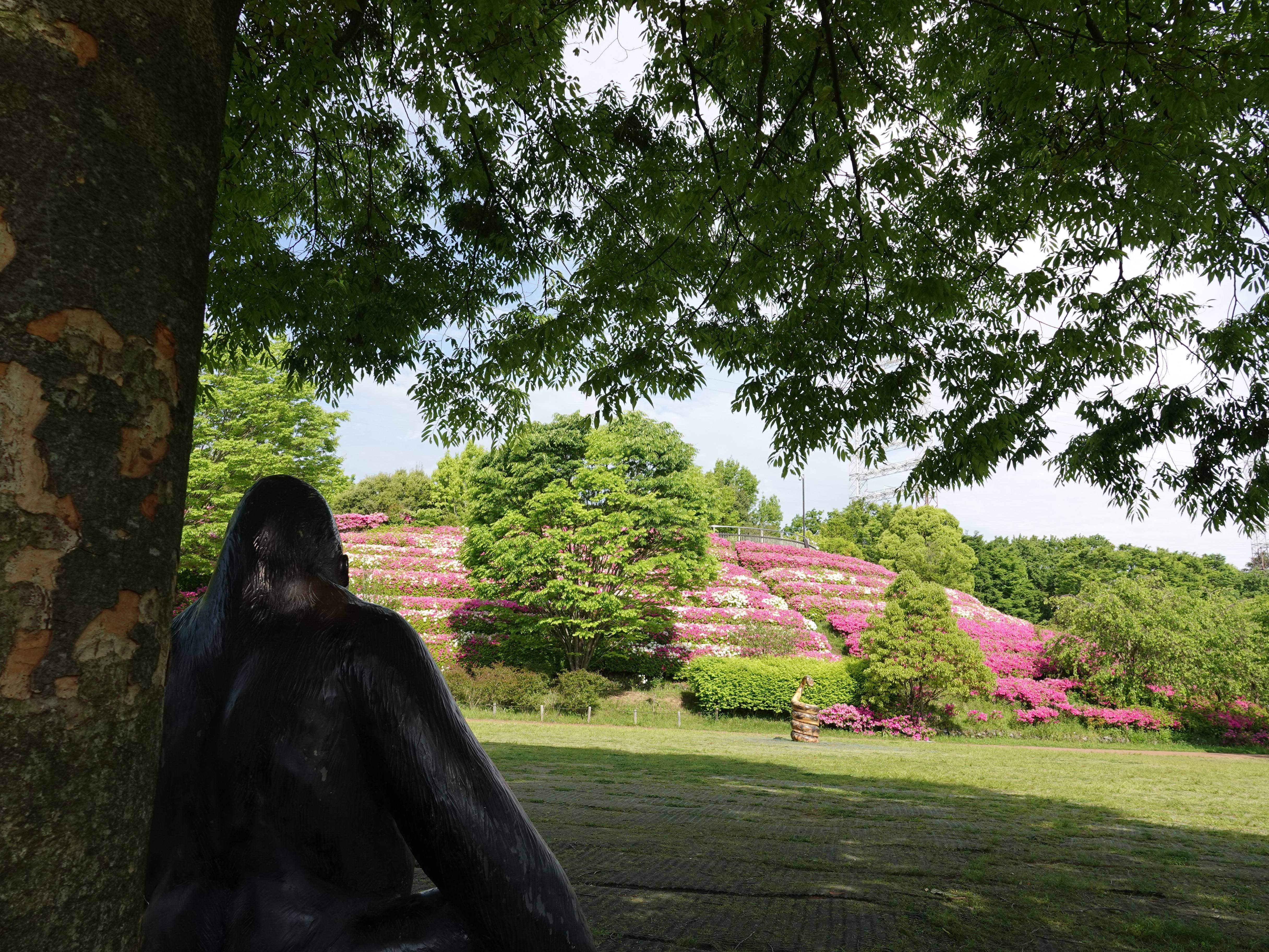 ズーラシアの初夏事情の写真