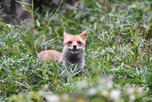 素敵な笑顔をありがとう。