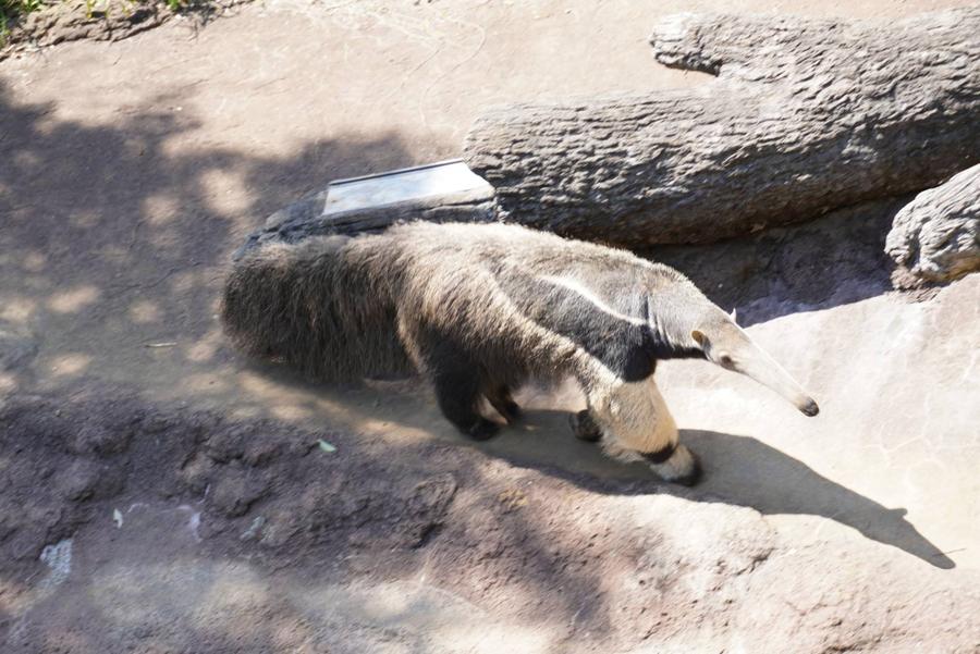 F2AC5F00-E473-4750-B454-220ED142040A.jpegのサムネイル画像