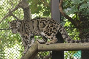 step by step･･･⑤