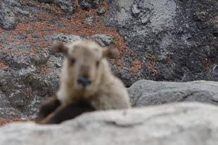 「ボツ画像No.1を決めよう」っていうお話