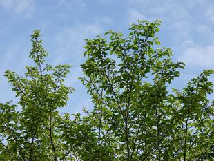 ズーラシアの春事情⑮　～最終回～