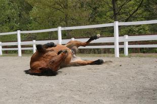 今年もこの日がやってきた！