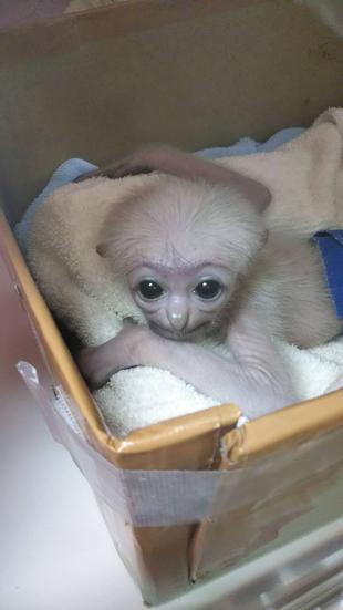 プロイのお部屋