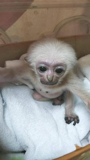 プロイのお部屋　その後