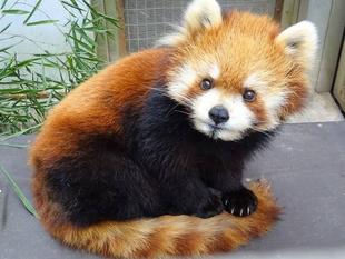 これからよろしくね