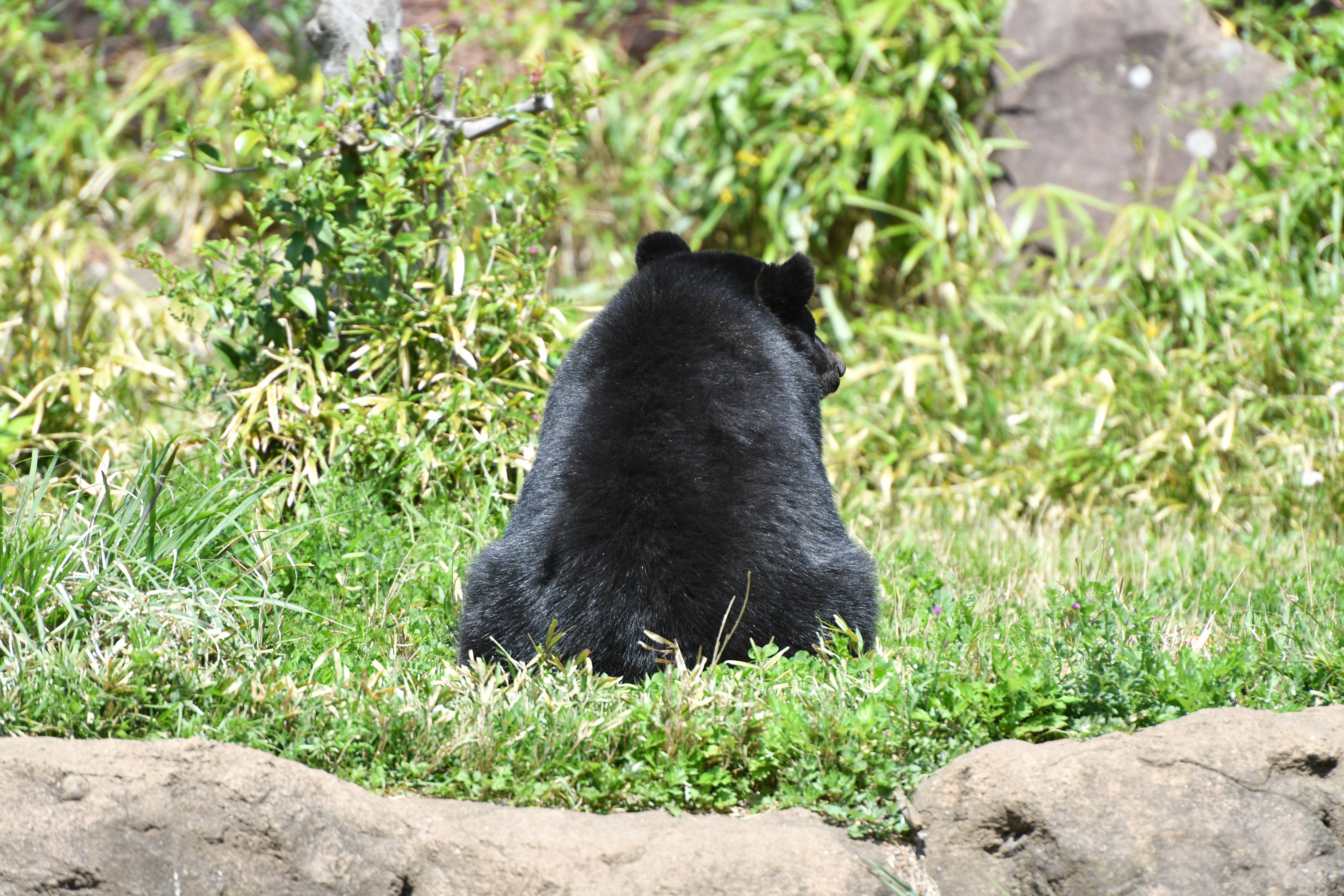 「背中で語ろう」っていうお話の写真