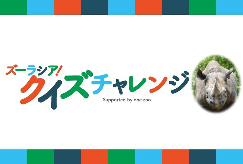ズーラシアクイズチャレンジ~解答編④ ヒガシクロサイ~の写真
