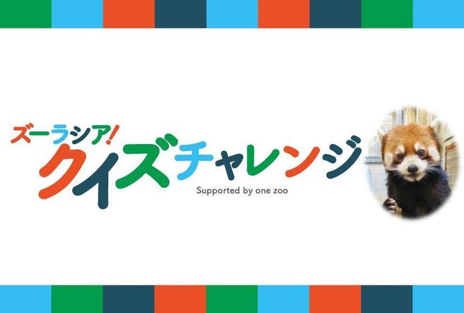 ズーラシアクイズチャレンジ 解答編 レッサーパンダ ブログdeズーラシア よこはま動物園ズーラシア公式サイト 公益財団法人 横浜市緑の協会