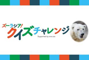 ズーラシアクイズチャレンジ~解答編② ホッキョクグマ~