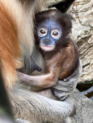 歯が生えました☆*+。