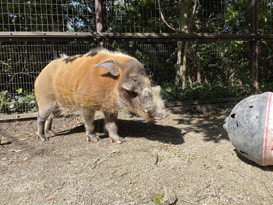 出会いは突然にの写真
