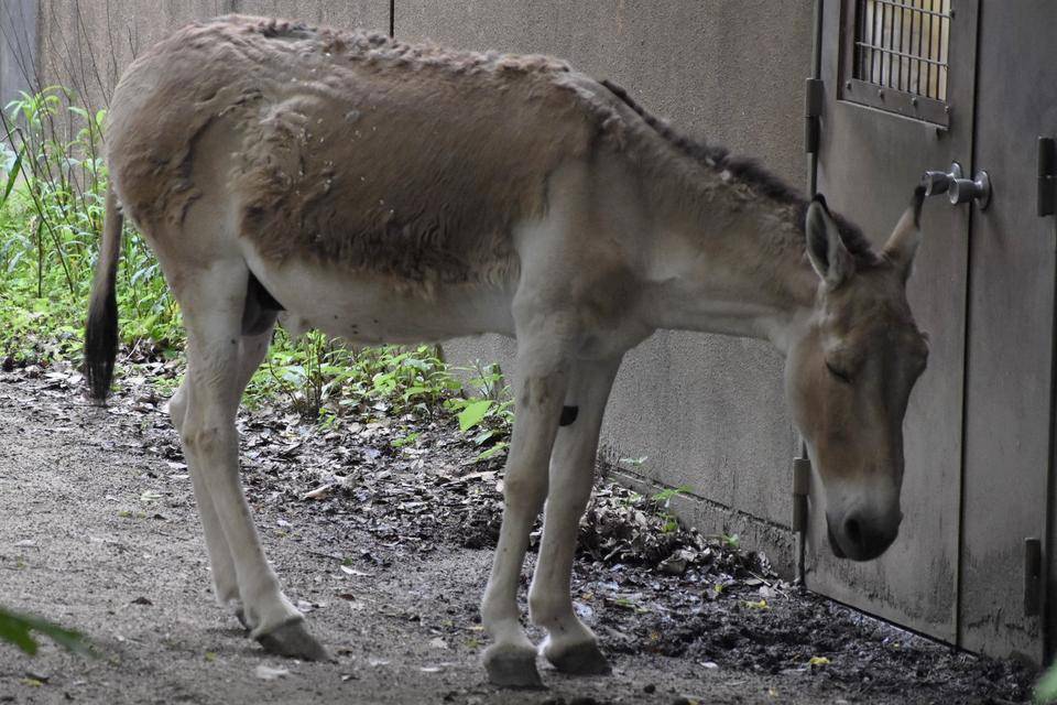 ミンミン28歳になりました!の写真